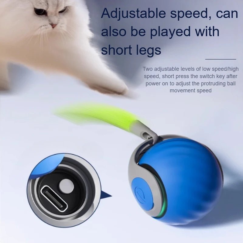 Cats Interactive Ball Toys, Automatic Rolling Ball - zinko