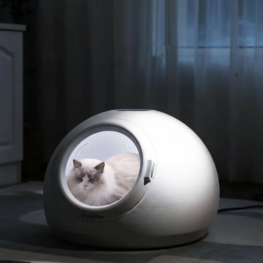 Séchoir Automatic Pet Dryer Box Cats and Small Dogs Smart - zinko