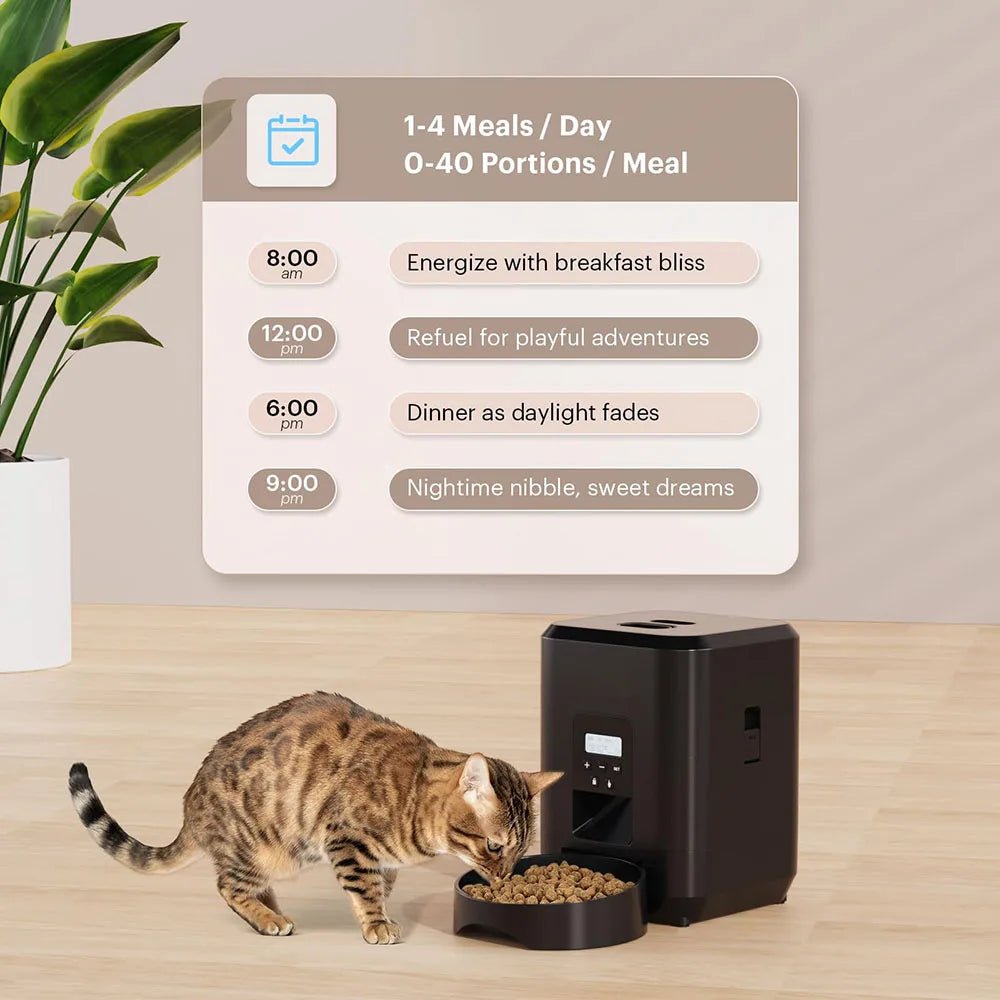 Smart Pet Feeder Automatic Cat Feeder Dog - zinko